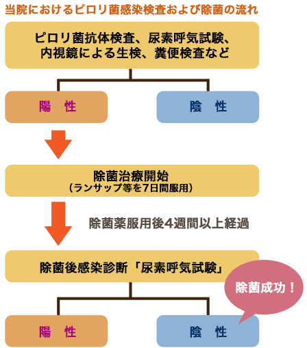 ヘリコバクターピロリ菌除菌について